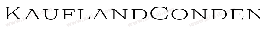 KauflandCondensed Re字体转换